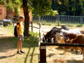 2006 Sommer